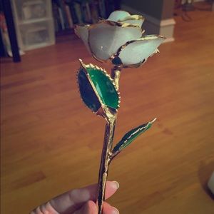 24k gold dipped rose